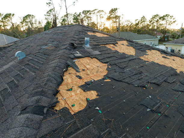 Best Rubber Roofing (EPDM, TPO)  in Ruhenstroth, NV